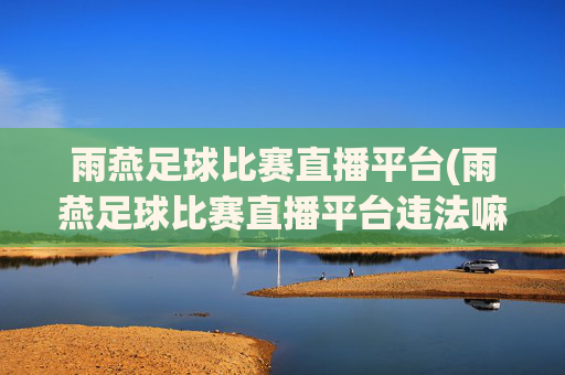 雨燕足球比赛直播平台(雨燕足球比赛直播平台违法嘛)