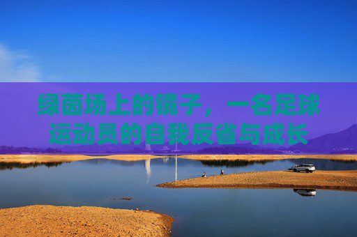 绿茵场上的镜子，一名足球运动员的自我反省与成长
