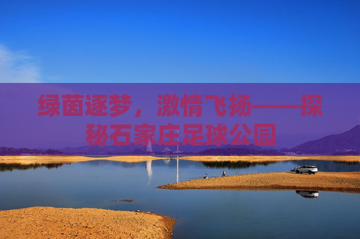 绿茵逐梦，激情飞扬——探秘石家庄足球公园