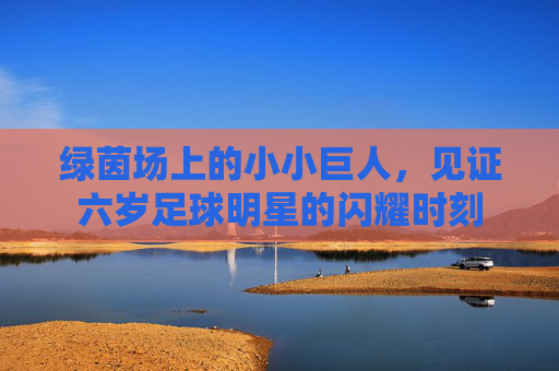 绿茵场上的小小巨人,见证六岁足球明星的闪耀时刻