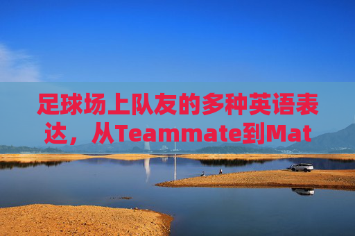 足球场上队友的多种英语表达，从Teammate到Mate的进阶指南