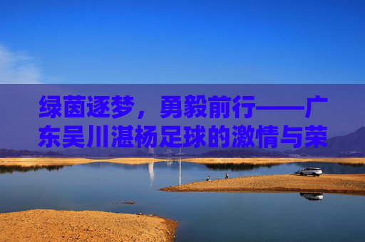 绿茵逐梦，勇毅前行——广东吴川湛杨足球的激情与荣光