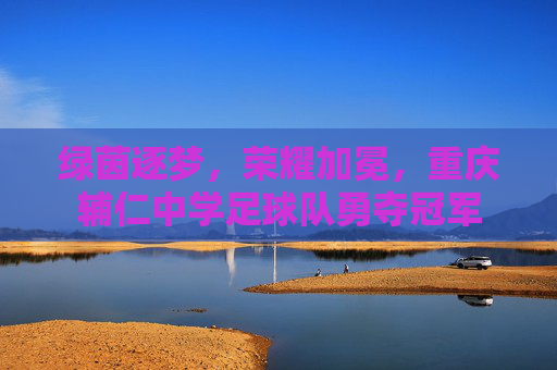绿茵逐梦，荣耀加冕，重庆辅仁中学足球队勇夺冠军