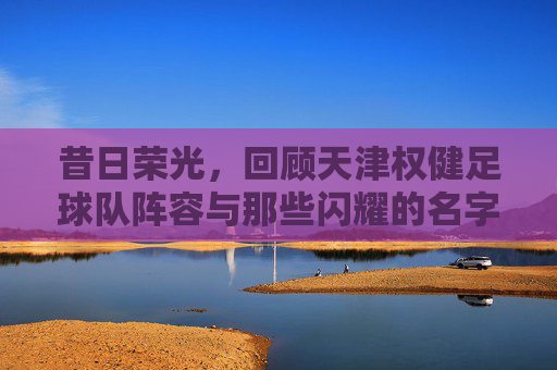 昔日荣光，回顾天津权健足球队阵容与那些闪耀的名字
