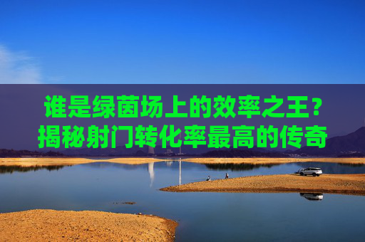 谁是绿茵场上的效率之王?揭秘射门转化率最高的传奇巨星