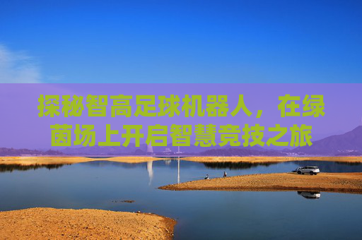 探秘智高足球机器人,在绿茵场上开启智慧竞技之旅