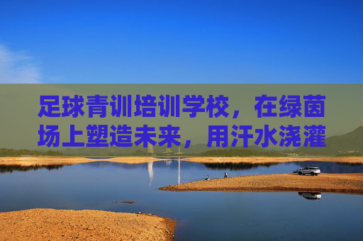 足球青训培训学校,在绿茵场上塑造未来,用汗水浇灌梦想