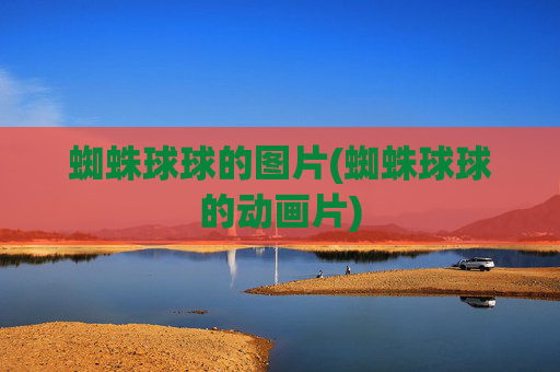 蜘蛛球球的图片(蜘蛛球球的动画片)