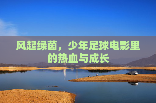 风起绿茵,少年足球电影里的热血与成长