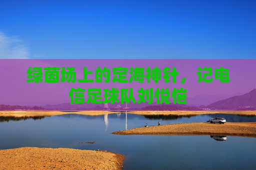 绿茵场上的定海神针，记电信足球队刘悦恺