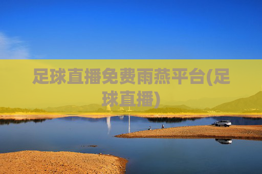 足球直播免费雨燕平台(足球直播)