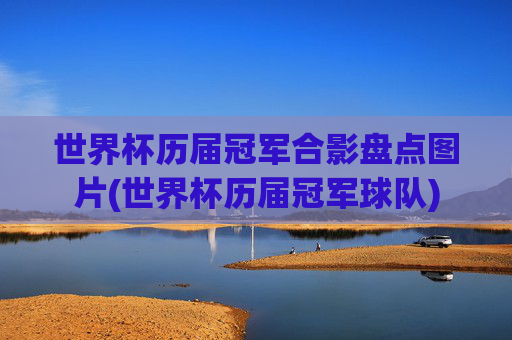 世界杯历届冠军合影盘点图片(世界杯历届冠军球队)