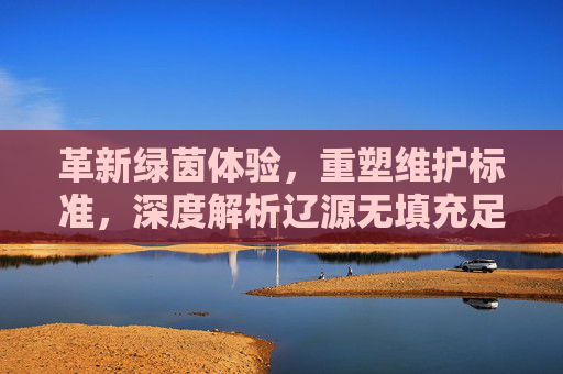 革新绿茵体验,重塑维护标准,深度解析辽源无填充足球草