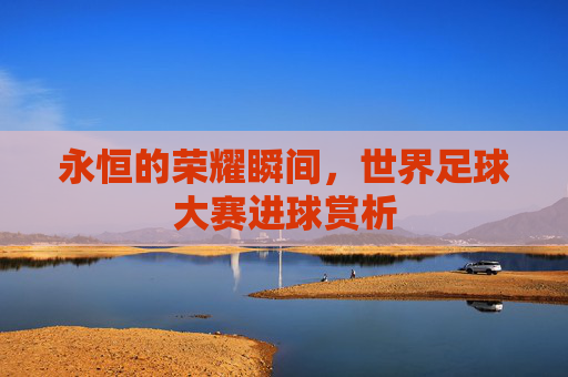 永恒的荣耀瞬间,世界足球大赛进球赏析