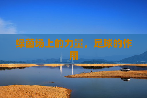 绿茵场上的力量，足球的作用