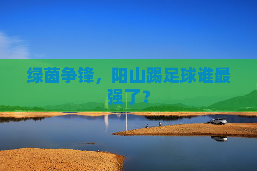 绿茵争锋,阳山踢足球谁最强了?