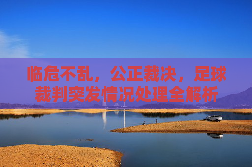 临危不乱，公正裁决，足球裁判突发情况处理全解析