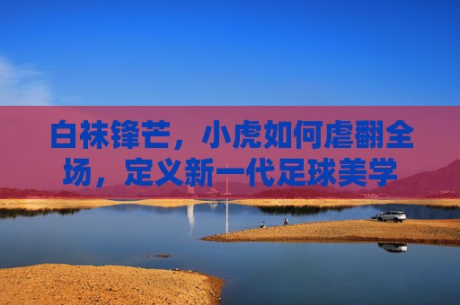 白袜锋芒，小虎如何虐翻全场，定义新一代足球美学