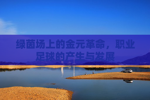 绿茵场上的金元革命,职业足球的产生与发展