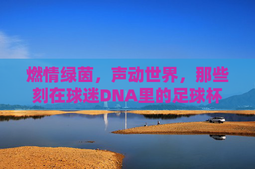 燃情绿茵,声动世界,那些刻在球迷DNA里的足球杯主题曲
