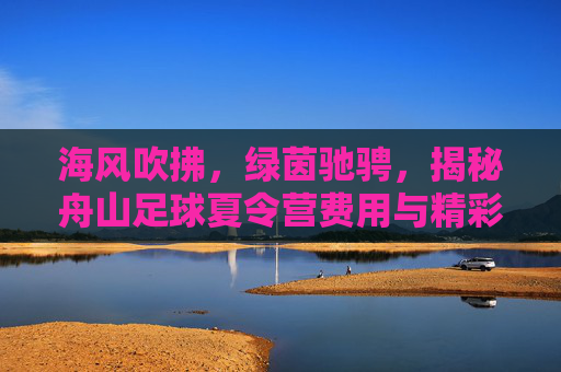 海风吹拂，绿茵驰骋，揭秘舟山足球夏令营费用与精彩亮点