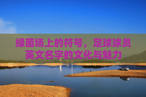 绿茵场上的符号,足球球员英文名字的文化与魅力