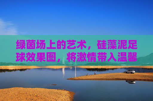 绿茵场上的艺术,硅藻泥足球效果图,将激情带入温馨家园