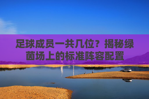 足球成员一共几位？揭秘绿茵场上的标准阵容配置