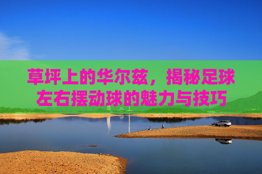 草坪上的华尔兹,揭秘足球左右摆动球的魅力与技巧