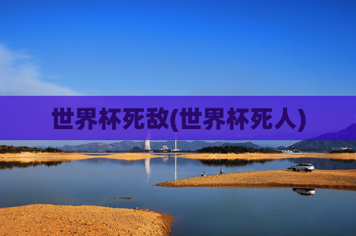 世界杯死敌(世界杯死人)