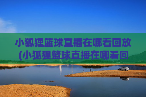 小狐狸篮球直播在哪看回放(小狐狸篮球直播在哪看回放啊)