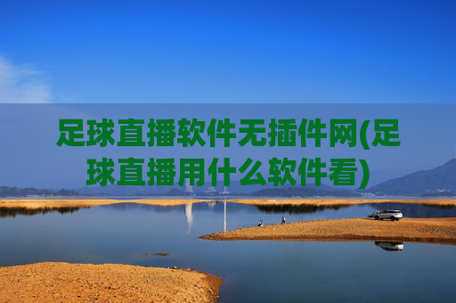 足球直播软件无插件网(足球直播用什么软件看)