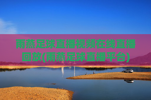 雨燕足球直播视频在线直播回放(雨燕足球直播平台)