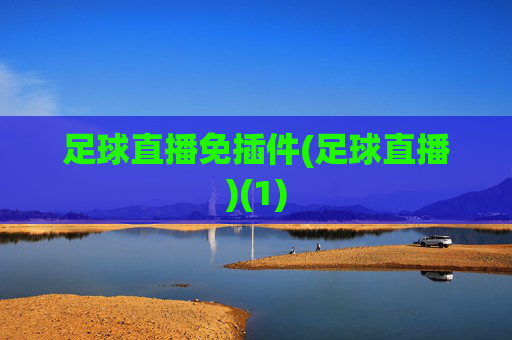足球直播免插件(足球直播)(1)