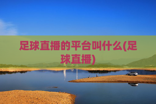 足球直播的平台叫什么(足球直播)