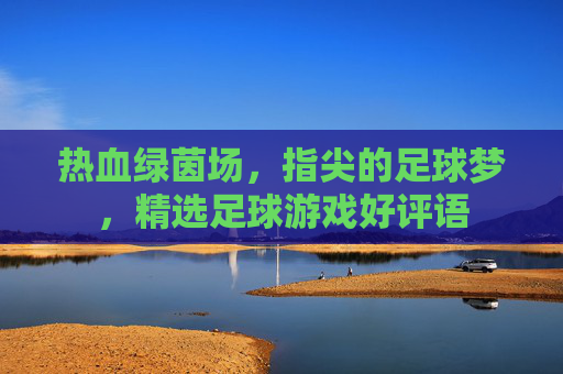 热血绿茵场,指尖的足球梦,精选足球游戏好评语