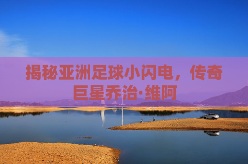揭秘亚洲足球小闪电,传奇巨星乔治·维阿