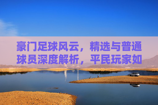 豪门足球风云,精选与普通球员深度解析,平民玩家如何选择?
