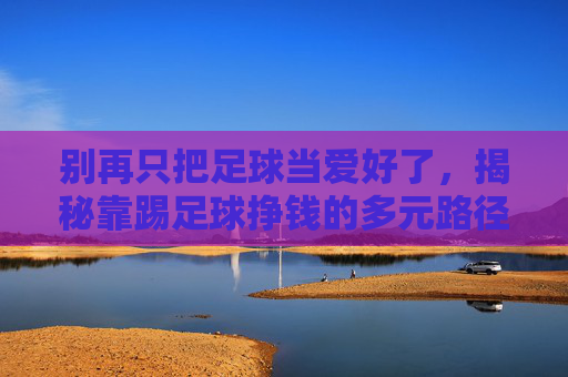 别再只把足球当爱好了,揭秘靠踢足球挣钱的多元路径