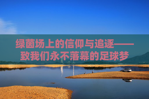 绿茵场上的信仰与追逐——致我们永不落幕的足球梦