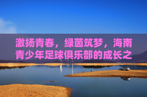 激扬青春,绿茵筑梦,海南青少年足球俱乐部的成长之路