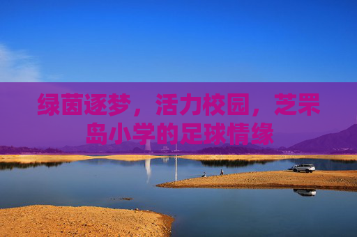 绿茵逐梦,活力校园,芝罘岛小学的足球情缘