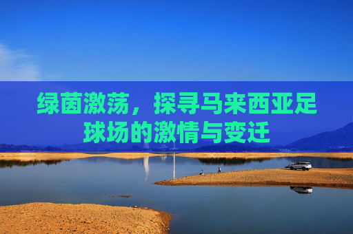绿茵激荡，探寻马来西亚足球场的激情与变迁