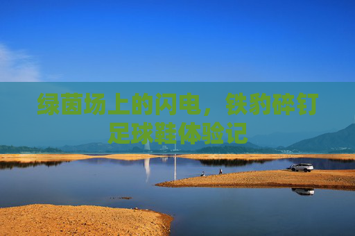 绿茵场上的闪电,铁豹碎钉足球鞋体验记