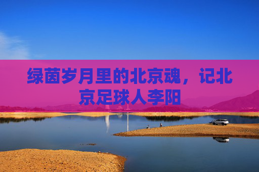 绿茵岁月里的北京魂，记北京足球人李阳