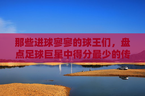 那些进球寥寥的球王们,盘点足球巨星中得分最少的传奇