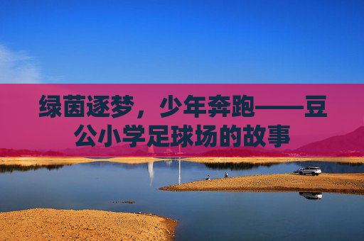 绿茵逐梦，少年奔跑——豆公小学足球场的故事