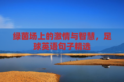 绿茵场上的激情与智慧，足球英语句子精选