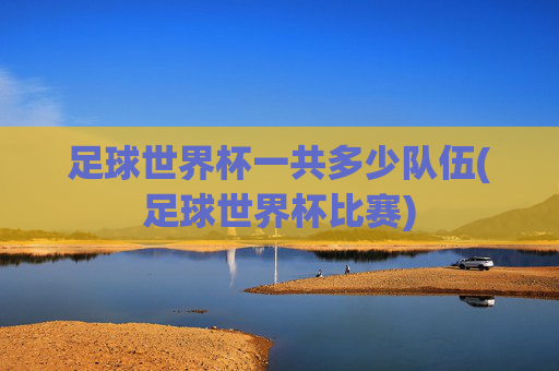 足球世界杯一共多少队伍(足球世界杯比赛)