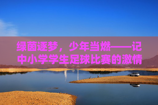 绿茵逐梦,少年当燃——记中小学学生足球比赛的激情与成长